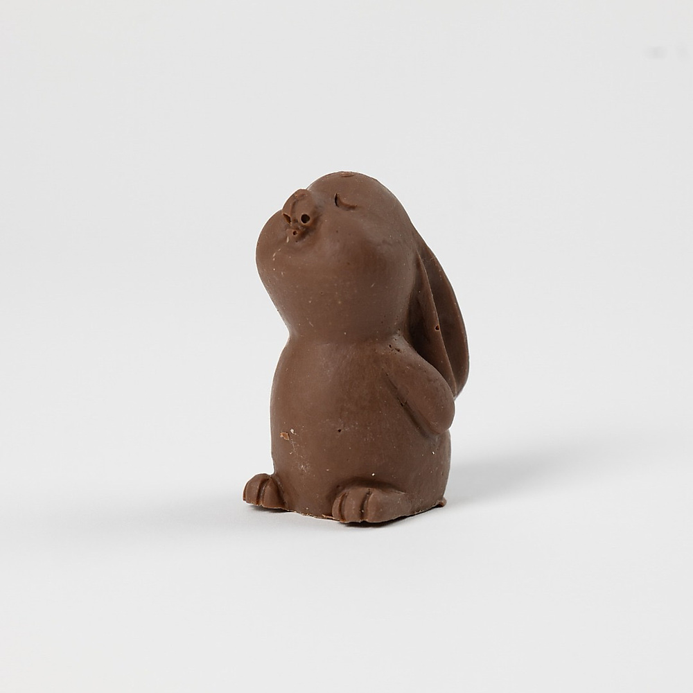 Chocolate Rabbit
