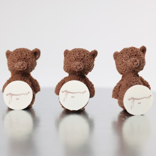 Teddy Chocolate with Name Tag