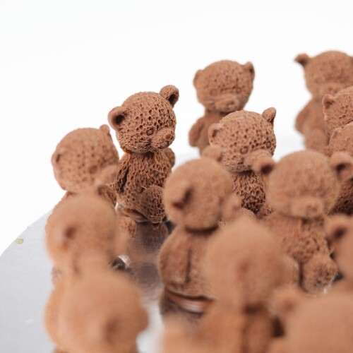 Chocolate Teddy
