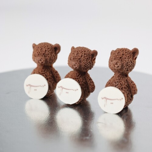 Teddy Chocolate with Name Tag