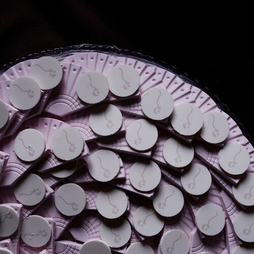 Chocolate Fan with circle name