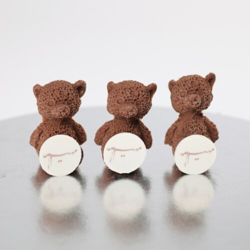 Teddy Chocolate with Name Tag