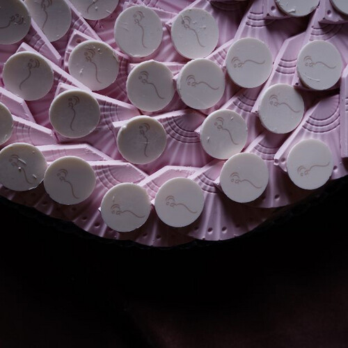 Chocolate Fan with circle name