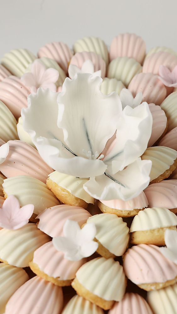 Madeleine Cake