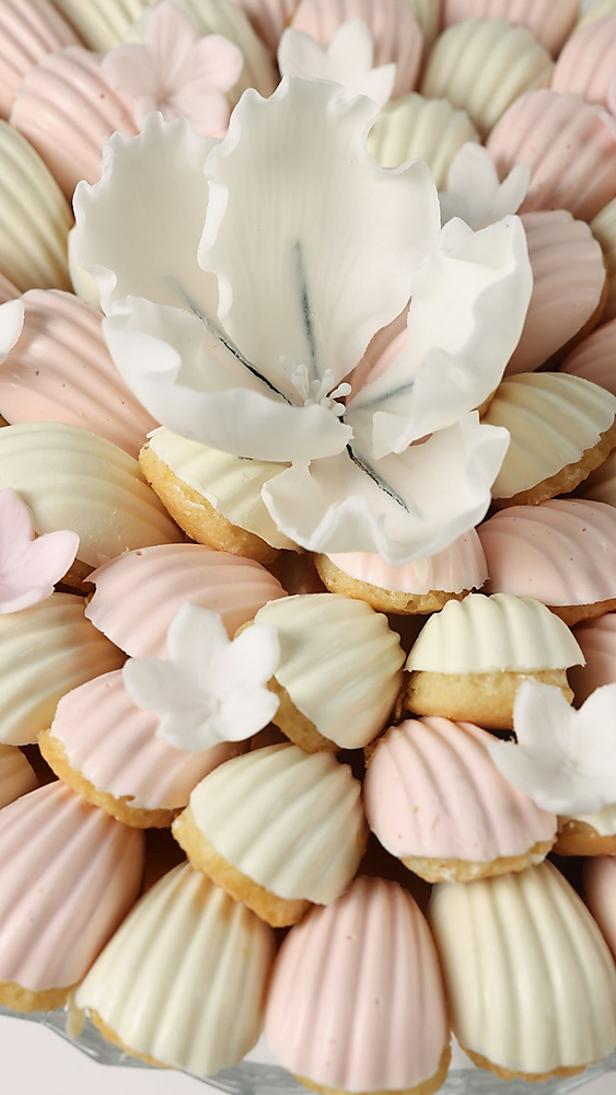 Madeleine Cake