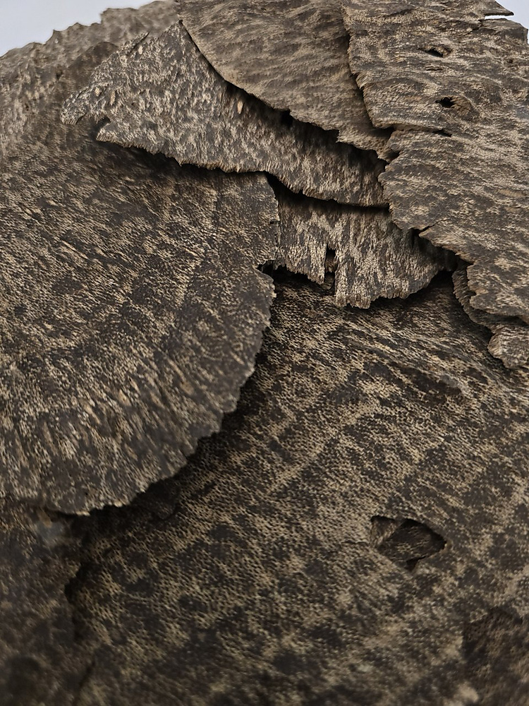 jar