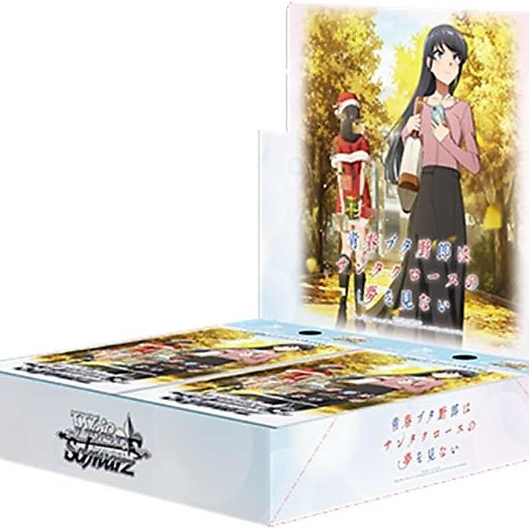 Rascal Does Not Dream of Santa Claus