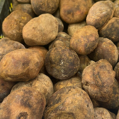 فقع اخلاسي