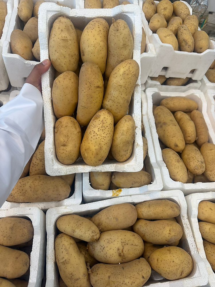 بطاط