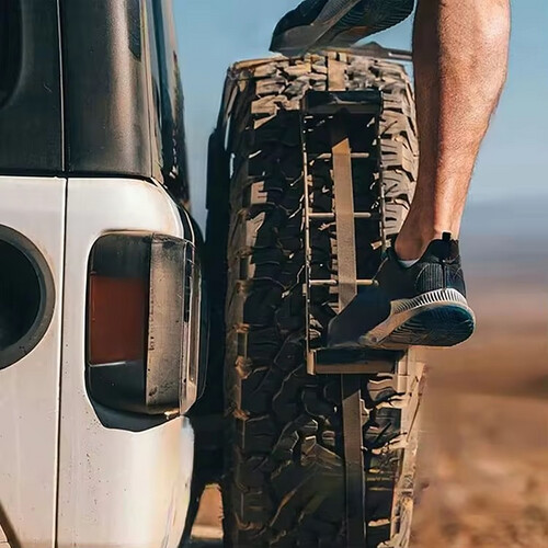 Tire ladder