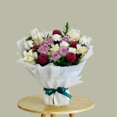 أرجواني غامق B