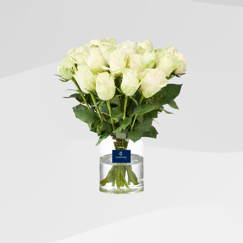 وردة بيضاء في مزهرية