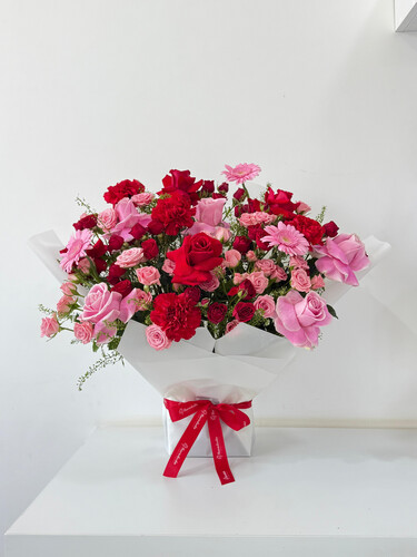 حبيبتي بلوم