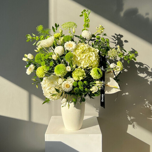 الأناقة الخضراء