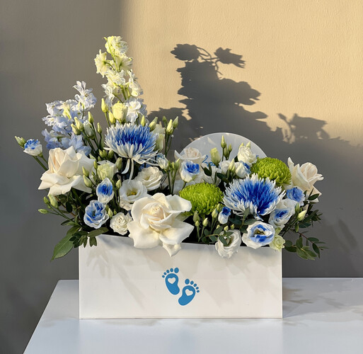 مرحبا بيبي بوي