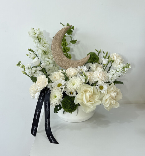 صفاء ضوء القمر