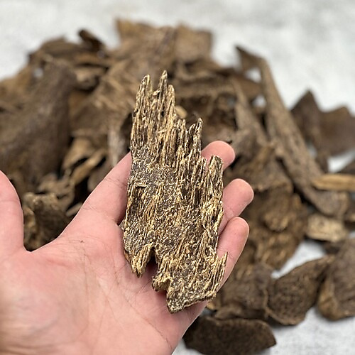 جنوب تايلند