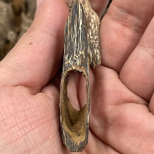 تراد الاسطوره