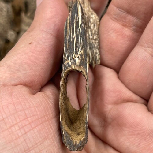 تراد الاسطوره