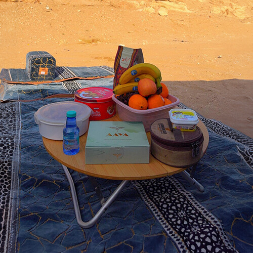 Trip to Al-Subiya Camp