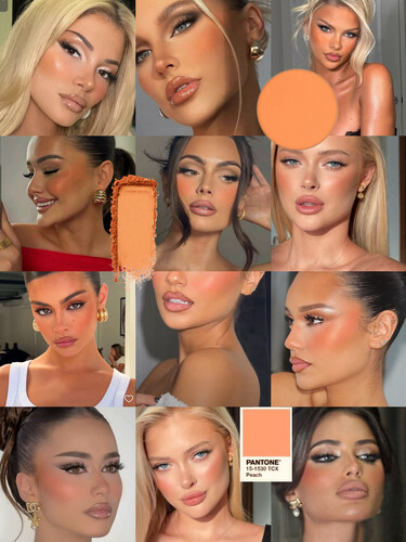 بلاشر پيييت-شي