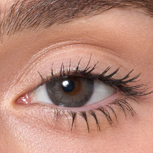 ايفري داي ايكون