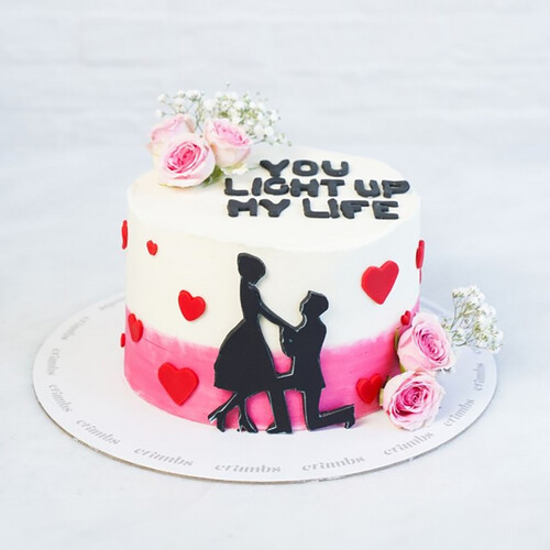 You Light Up My Life