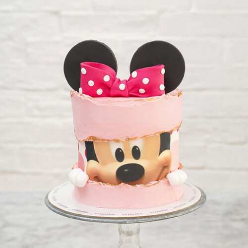 Minnie Mouse Cake & Cakesickles