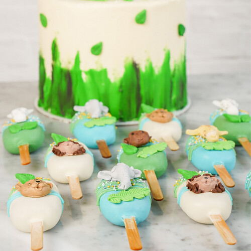 In the Wild Cake & Cakesickles