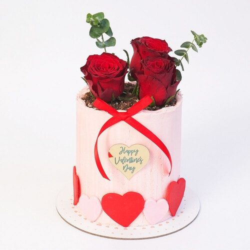 Rose Garden  & Roses