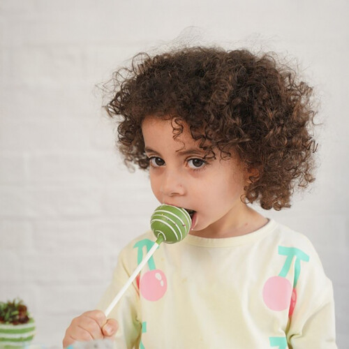 In the Wild Cake pops