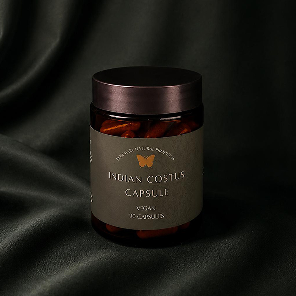 Indian Costus