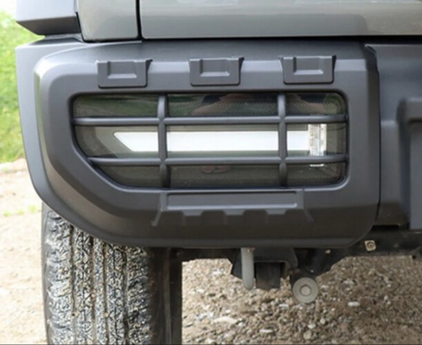 شبك الليت الخلفي