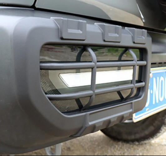 شبك الليت الخلفي