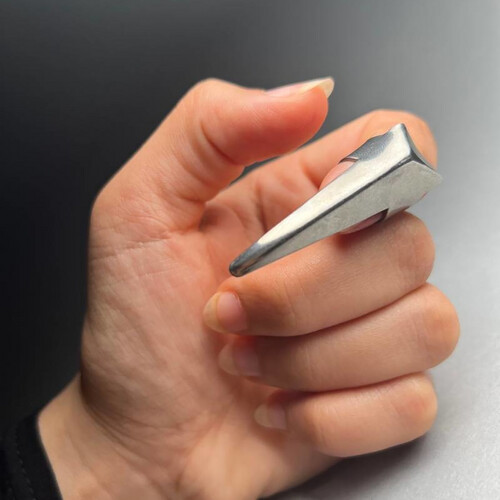 خاتم فصل الشعر