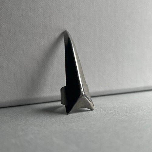 خاتم فصل الشعر