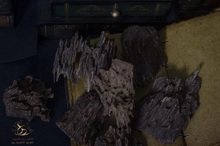 The Indian legend oud