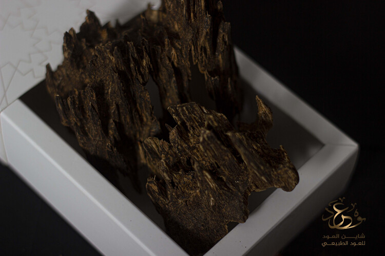 The Indian legend oud