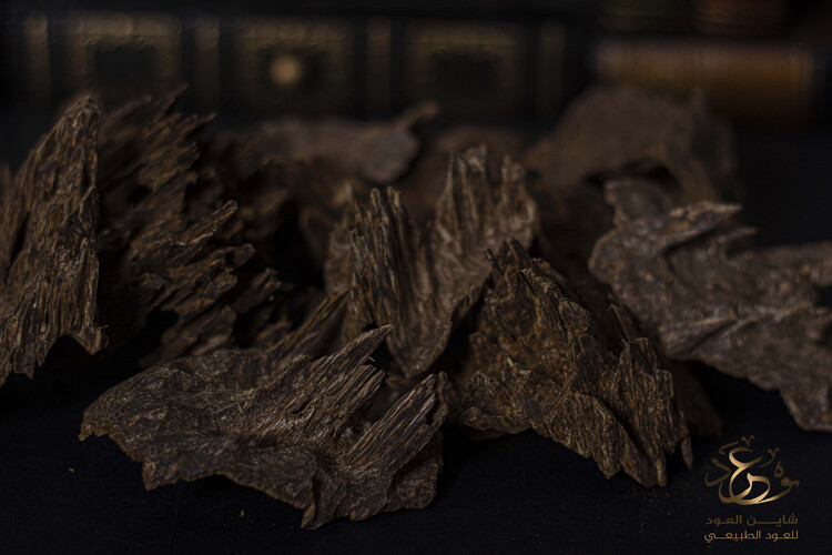 The Indian legend oud