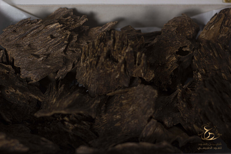 The Indian legend oud