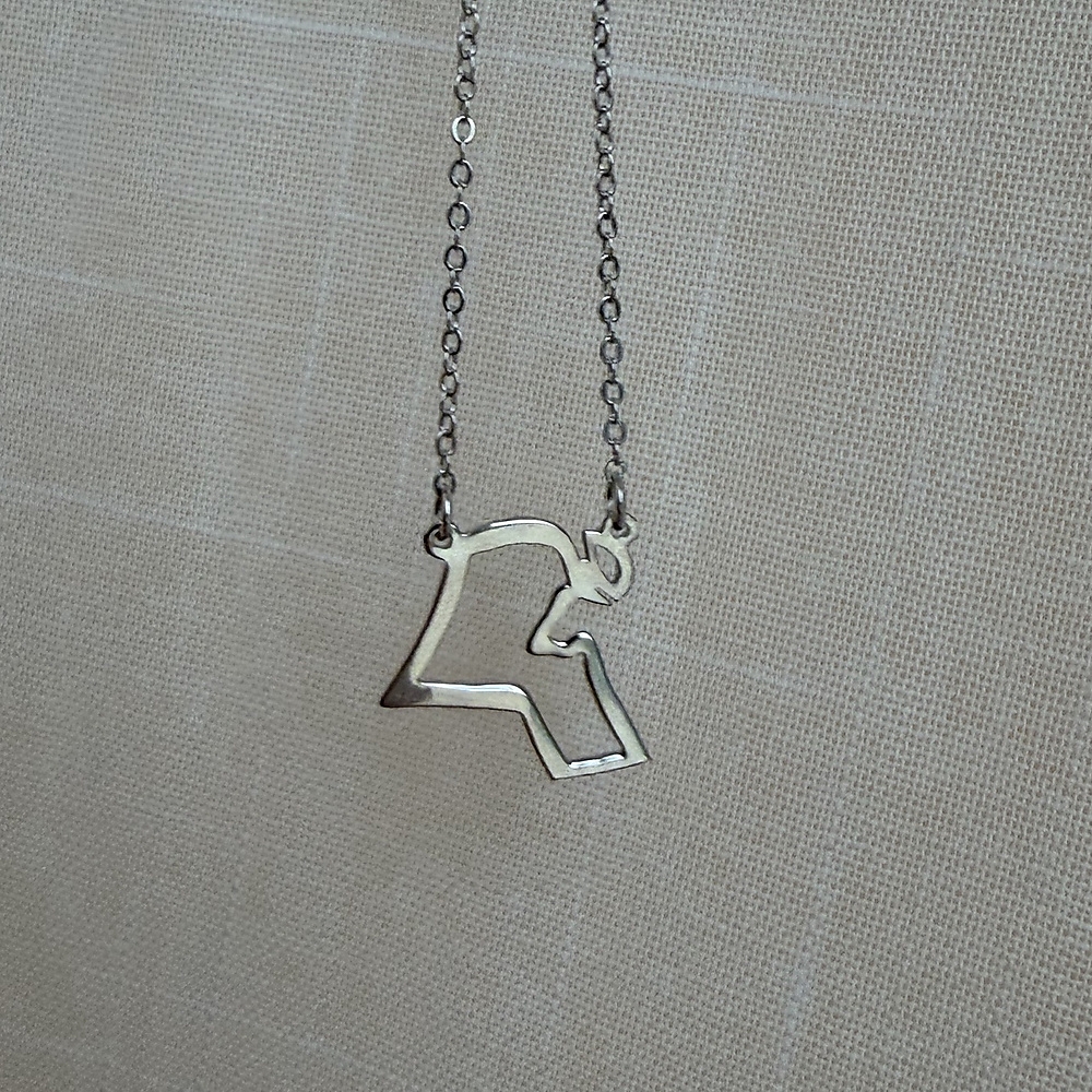 Kuwait map necklace -silver