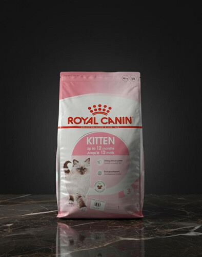 طعام جاف للقطط الصغيرة 4 كغم