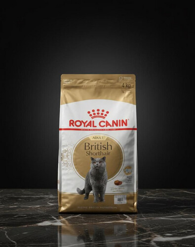 طعام جاف للقطط بريتش شورت هير – بالغ 4 كغم