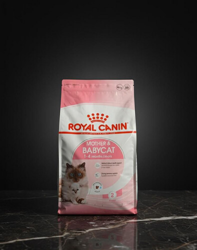 طعام جاف للأم والقطط الصغيرة 4 كغم