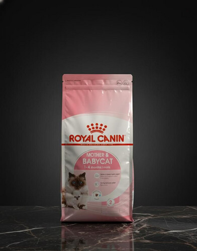 طعام جاف للأم والقطط الصغيرة 2 كغم