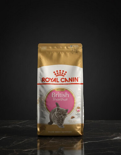طعام جاف للقطط الصغيرة من سلالة بريتيش شورت هير 2 كغم