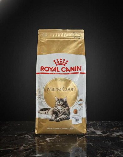 رويال كانين ماين كون للقطط البالغة 2 كغ