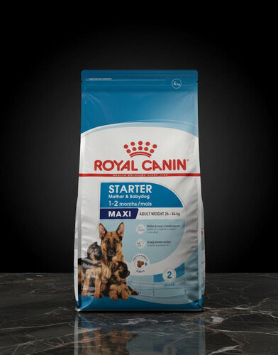 طعام جاف ماكسي ستارتر – 4 كجم