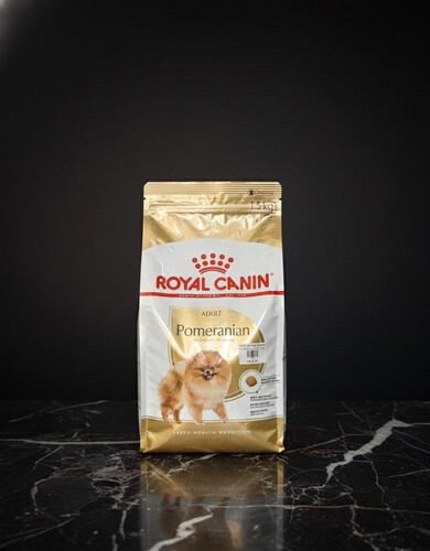 رويال كانين بوميرانيان للبالغين 1.5 كغ