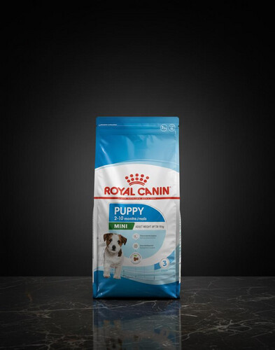 رويال كانين اكل جاف للجراء الصغيرة – 2 كجم